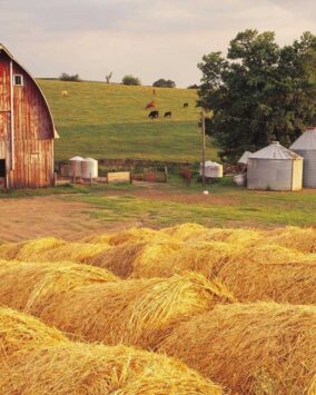 Agrofirm